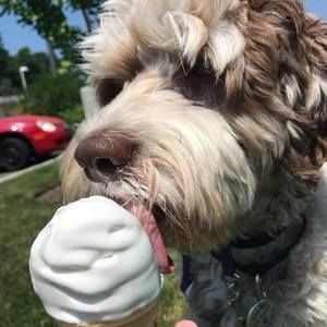 Meet your Posher, Whitney